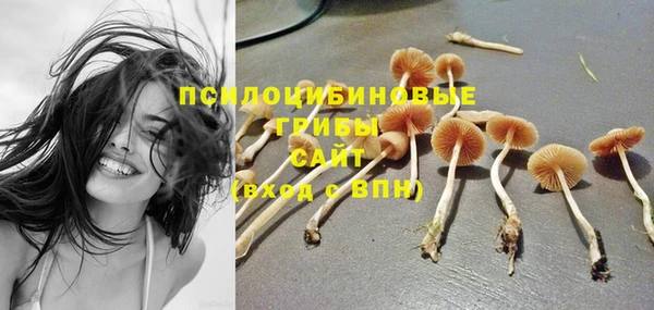 a pvp Горно-Алтайск