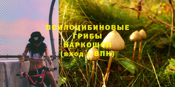 a pvp Горно-Алтайск